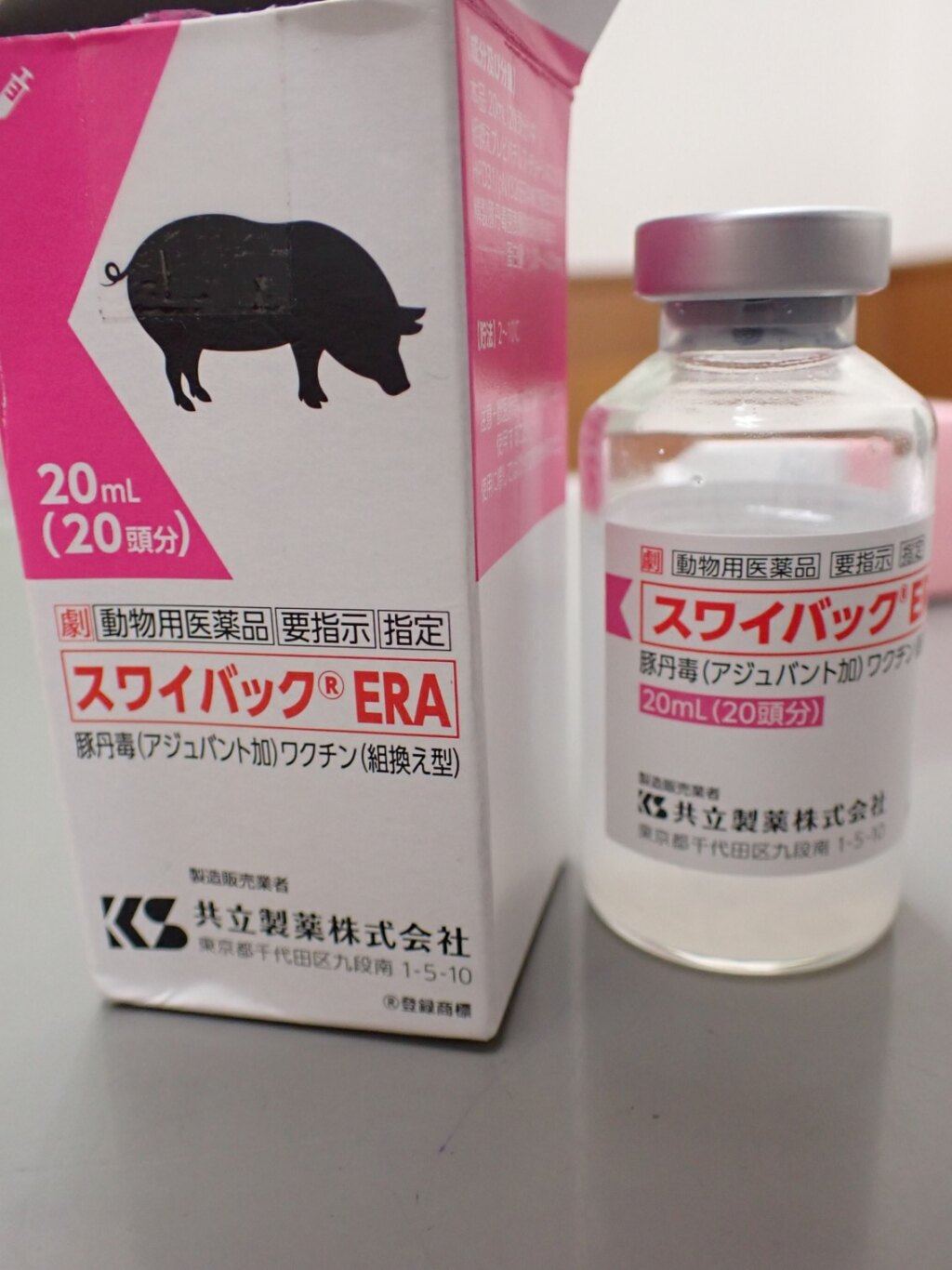 ミニブタ、マイクロブタのワクチン接種 | フォーゲル動物病院ブログ